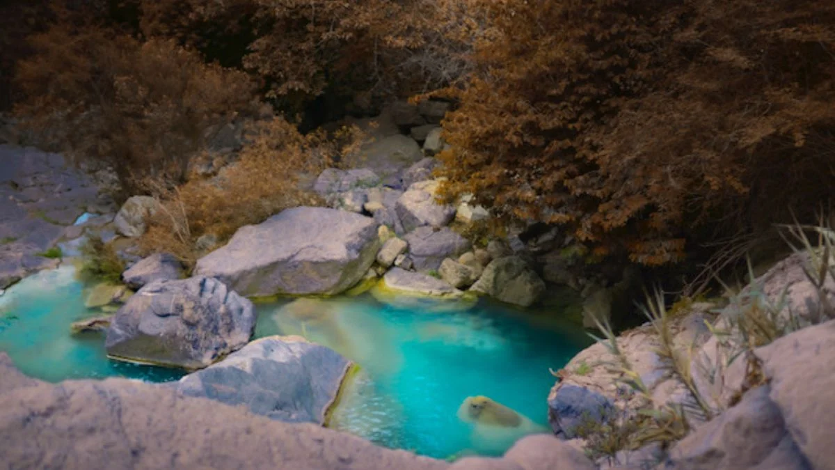 Pozas color turquesa y una cascada asombrosa, un secreto natural en Puebla